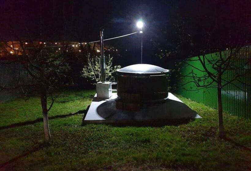 Pensiunea Dana