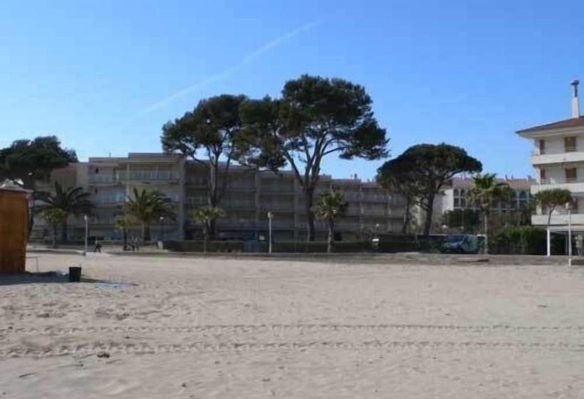 Apartamentos Dms 5