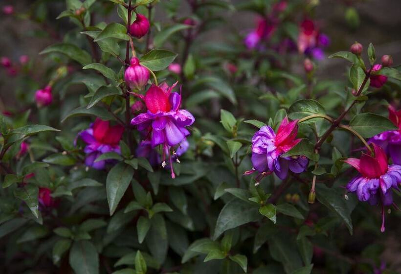 هتل روستایی Casona De La Paca