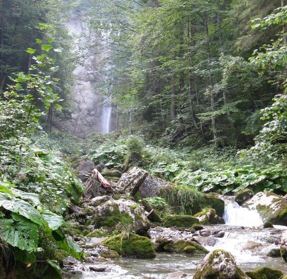 旅馆 Waldgasthaus Lehmen