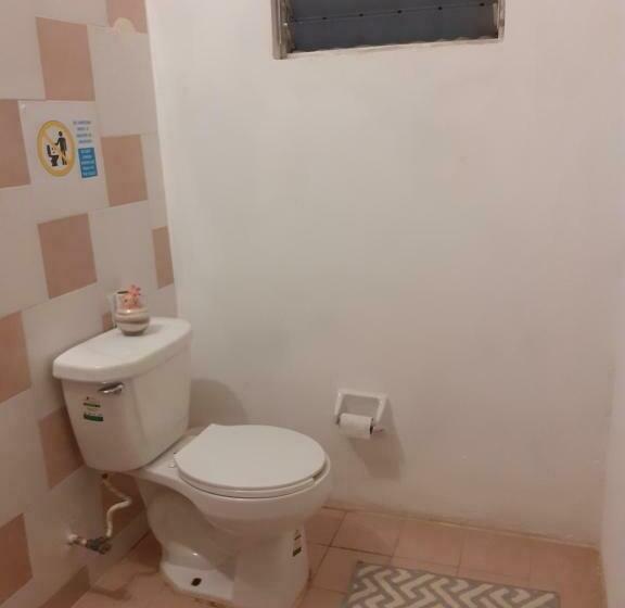 تختخواب و صبحانه Thelmar Rooms Cancun