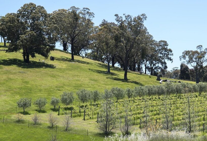 Blue House At Mountainside Wines
