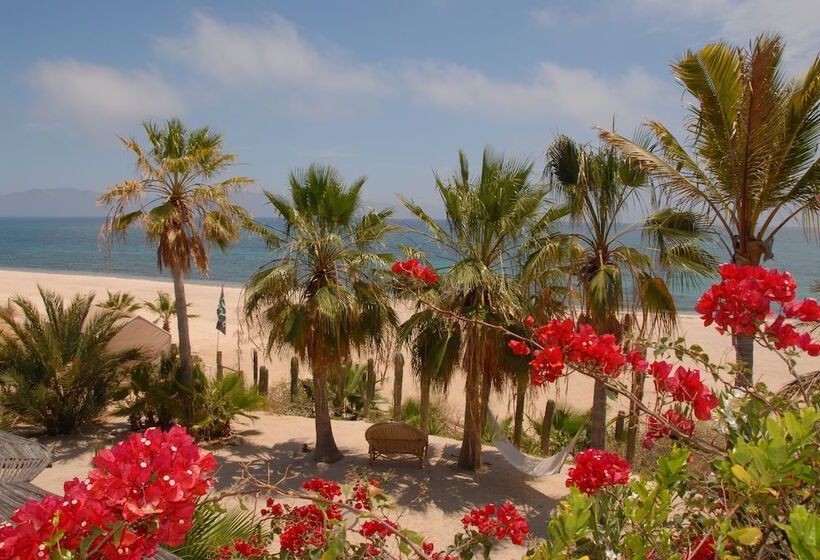 فندق Ventana Bay Resort