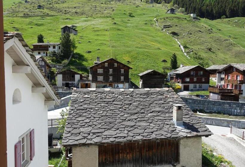 膳宿费 Gasthaus Edelweiss