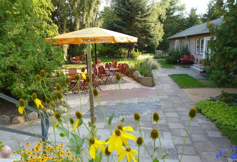 호텔 & Restaurant Zum Birkenhof