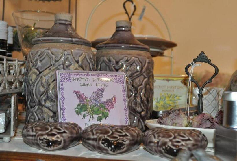 膳宿费 Hofgarten Rosa