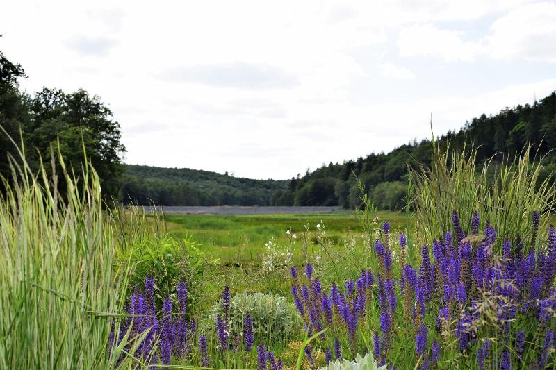 Pension Und Tagungsstätte Bb