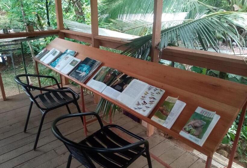 فندق صغير Bolita Trails And Lodging