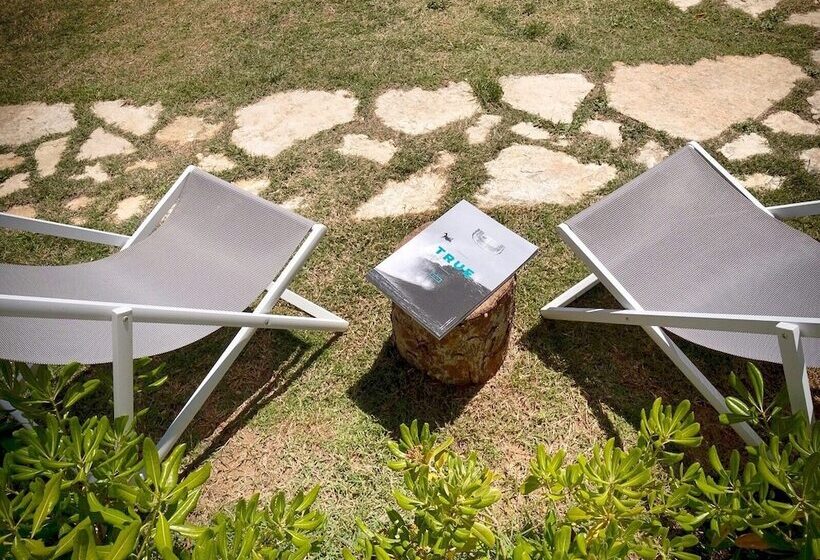 مبيت وإفطار Stagnone Area Zero