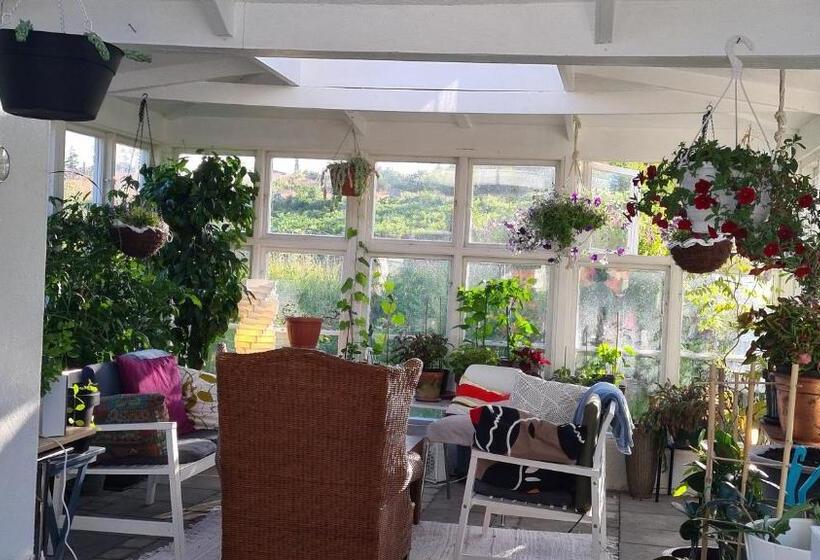 تختخواب و صبحانه Villa Luna Breakfast