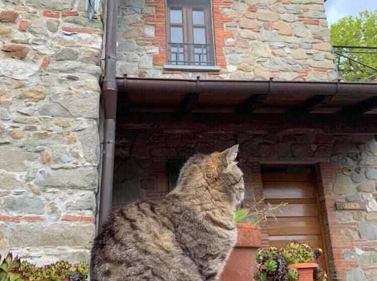 فندق Agriturismo Il Pino