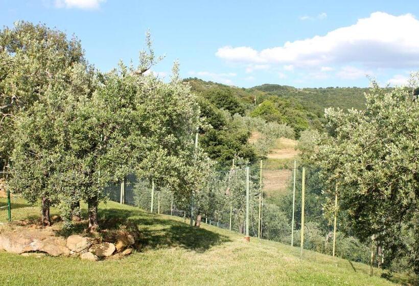 호텔 Agriturismo Malagronda