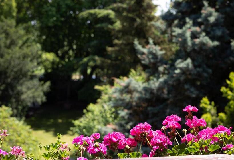 ホテル Restaurant Krone