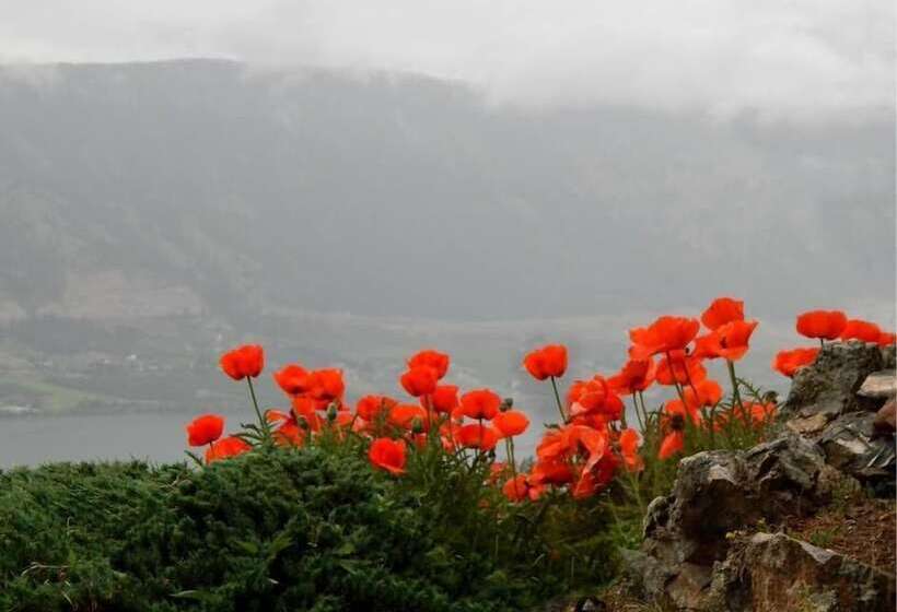 Misty Mountain B&b