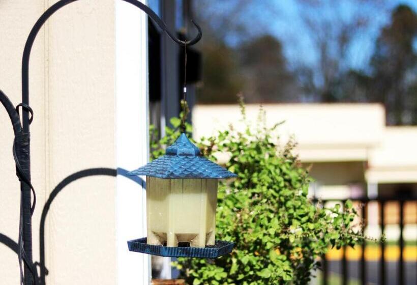 מוטל Royal Inn   North Augusta   Home Of The Masters   Augusta Downtown