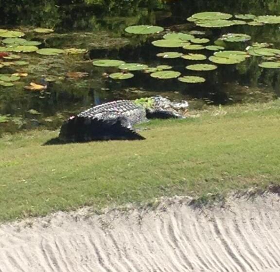 St James Bay Golf & Pickleball Resort