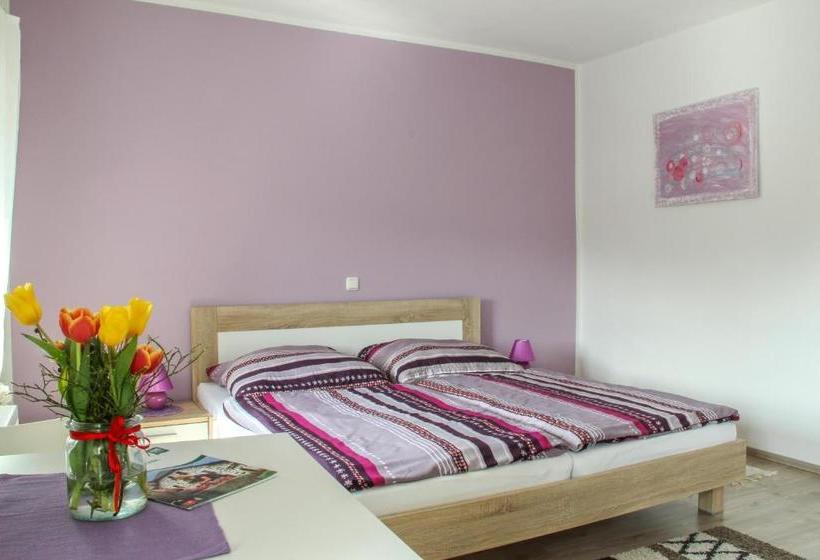 ユースホステル Gasthof Franzosenhof