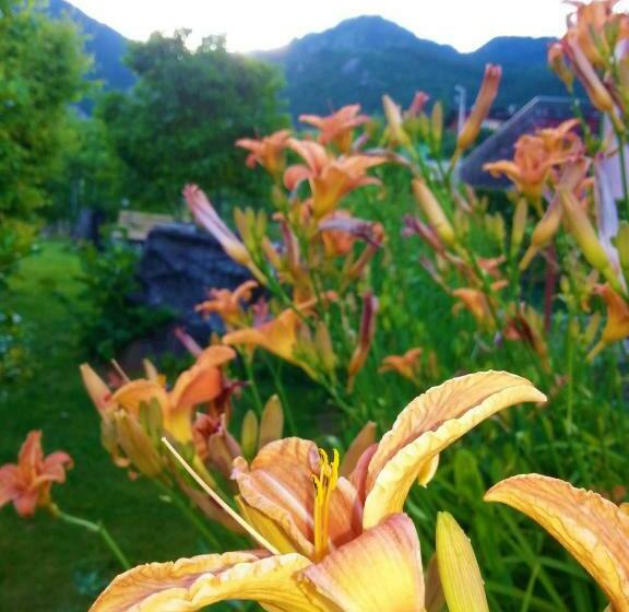 فندق Agritur Leita