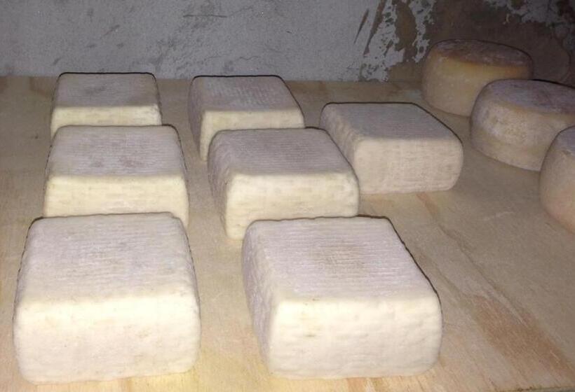 فندق Agriturismo La Betulla