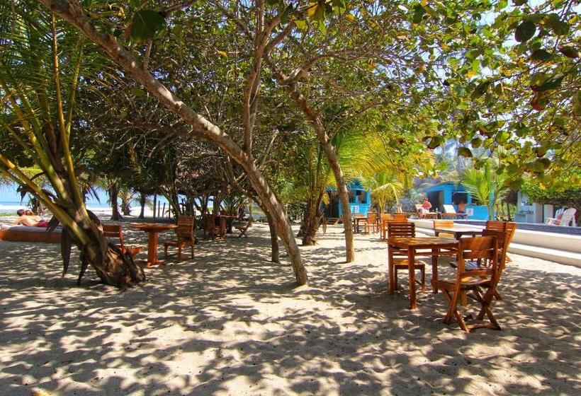 בית מלון כפרי Blue Mango Beach