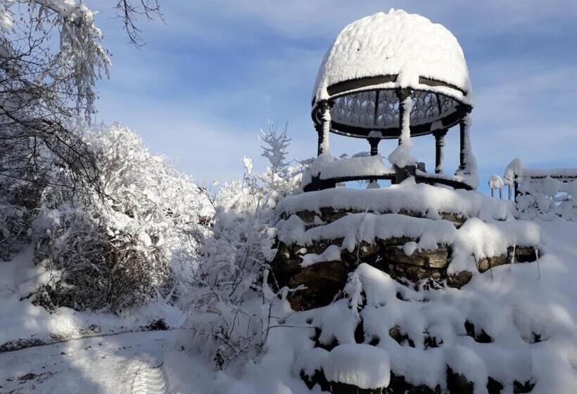 호텔 Burg Plankenstein