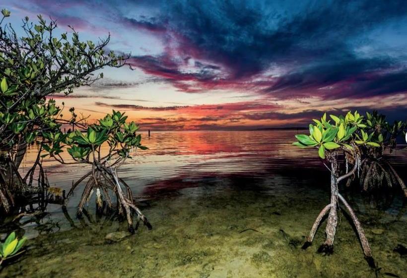 فندق Conch Key Fishing Lodge & Marina