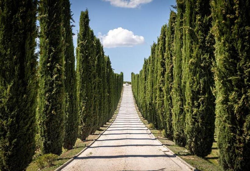 호텔 Fattoria Colsanto