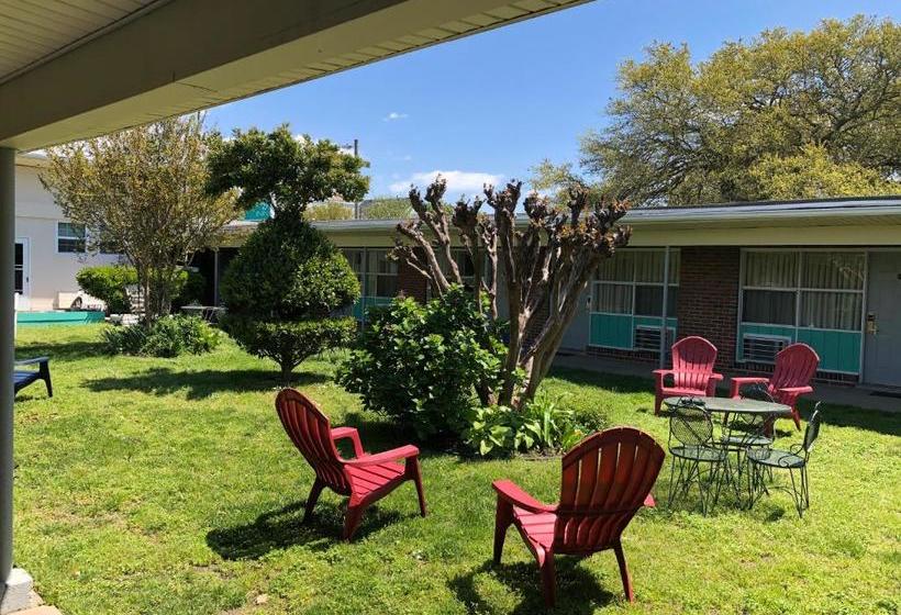 汽车旅馆  Bay Inn