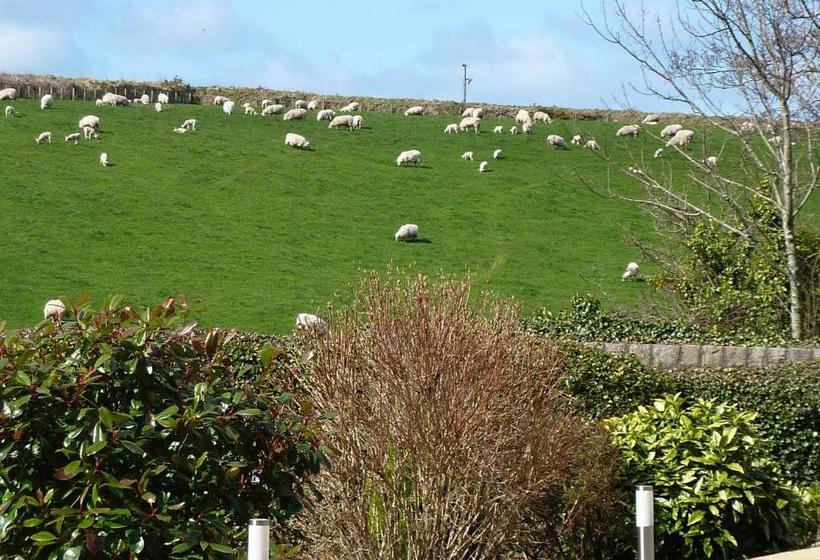 Yr Hen Felin   The Old Mill B&b