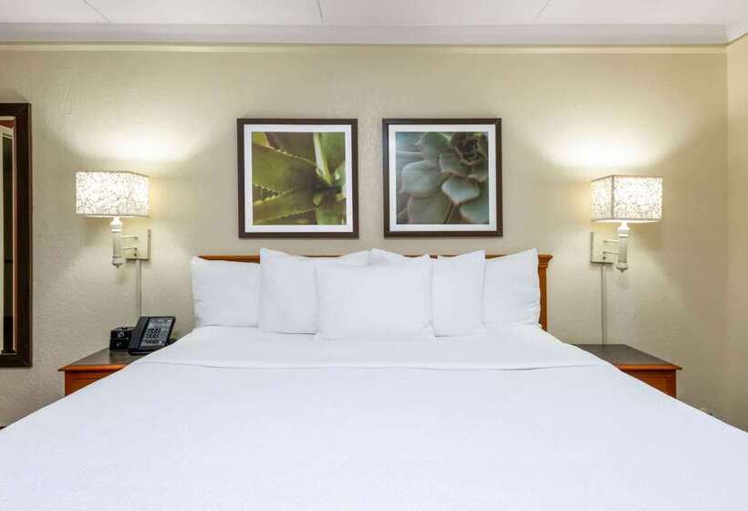 בית מלון כפרי La Quinta East Deerfield Beach   Boca Raton