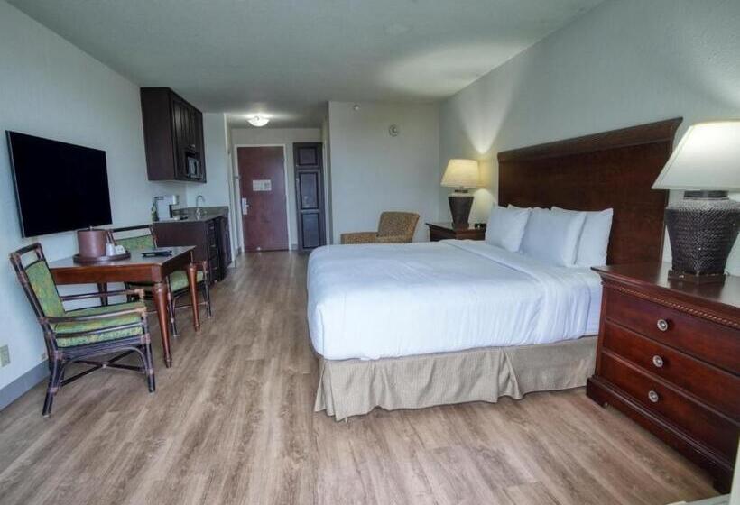 Treasure Island Hotel And Marina