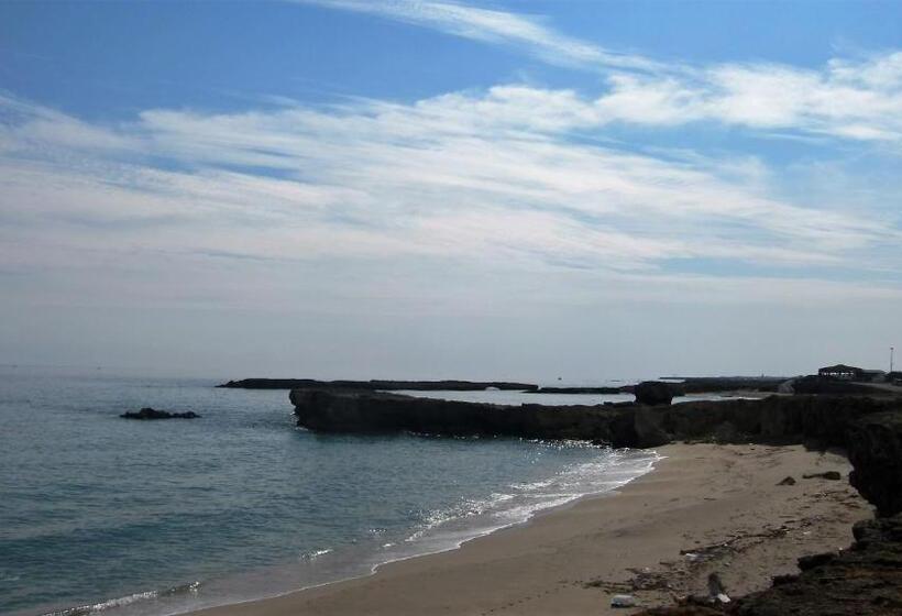 B&b Neptunia Fronte Mare
