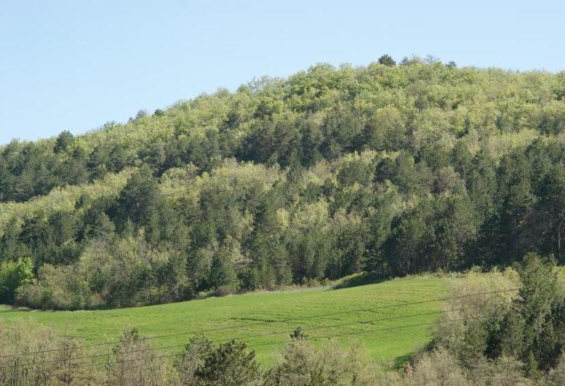 ベッドアンドブレックファースト Domaine De Luzenac