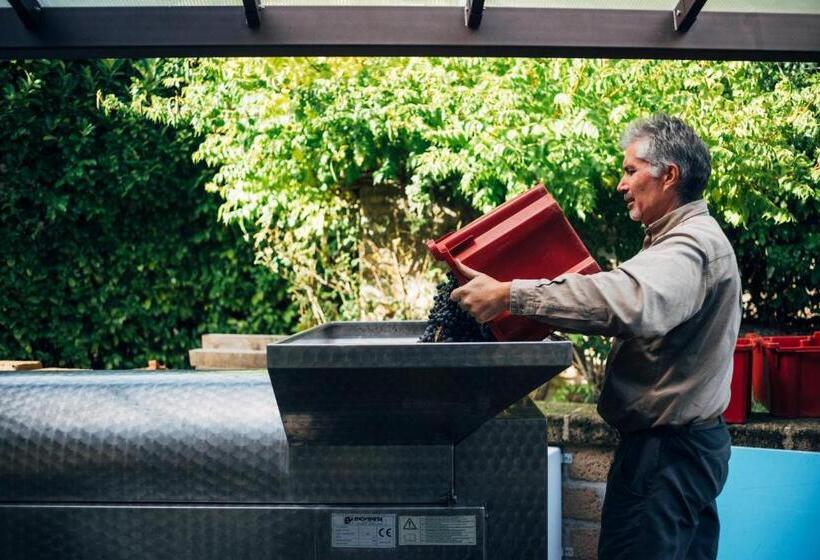 ベッドアンドブレックファースト Podere Orto Wine Country House