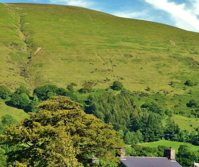 ベッドアンドブレックファースト The Firecat Country House Guesthouse