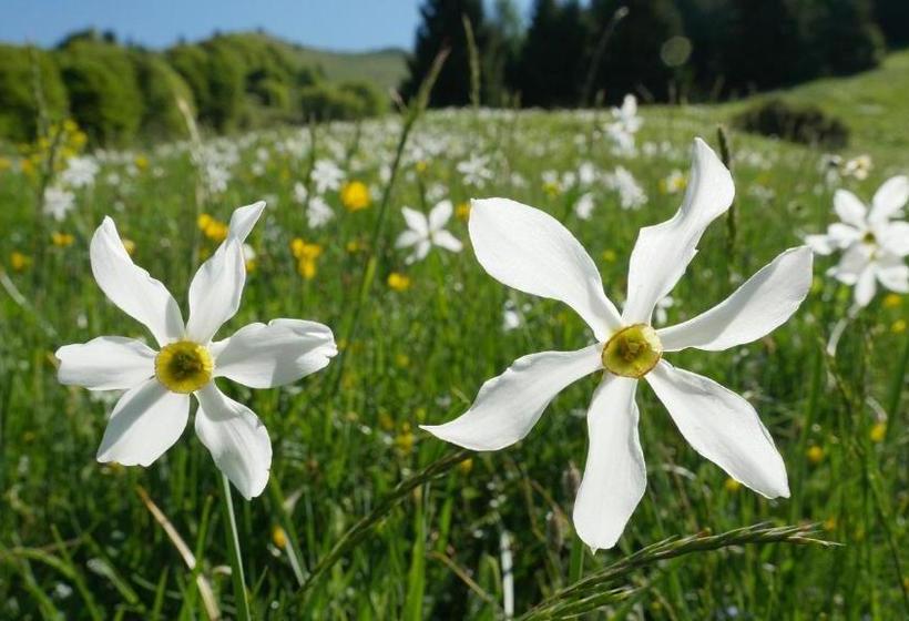 فندق Agriturismo Al Marter