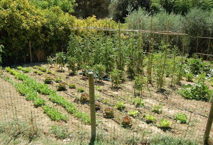 호텔 Agriturismo Casale Dei Frontini