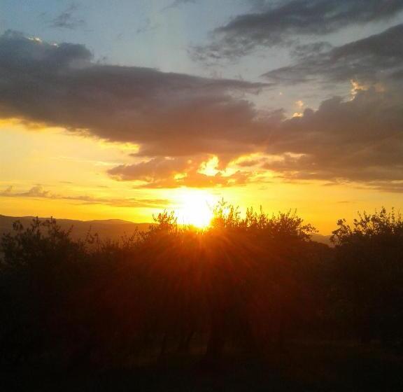 호텔 Agriturismo Il Truffarello Todi