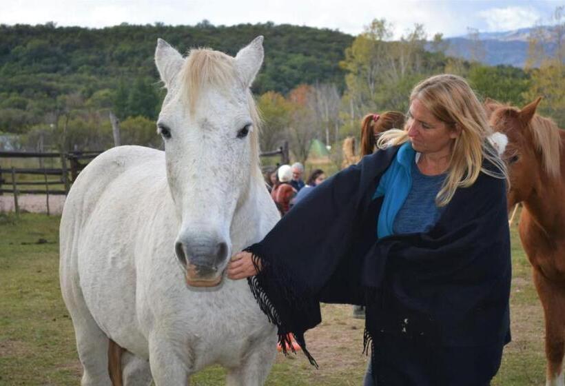 فندق Granja El Aromo
