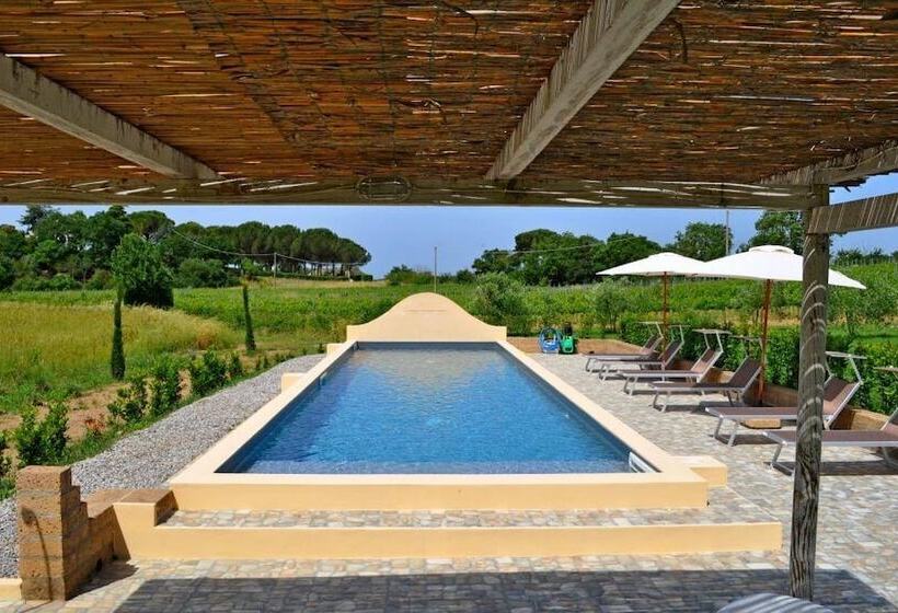 فندق Podere L Olmaia