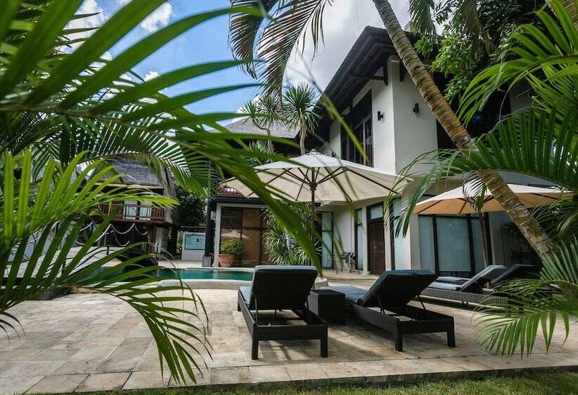 旅馆 Wave House   Surf Camp