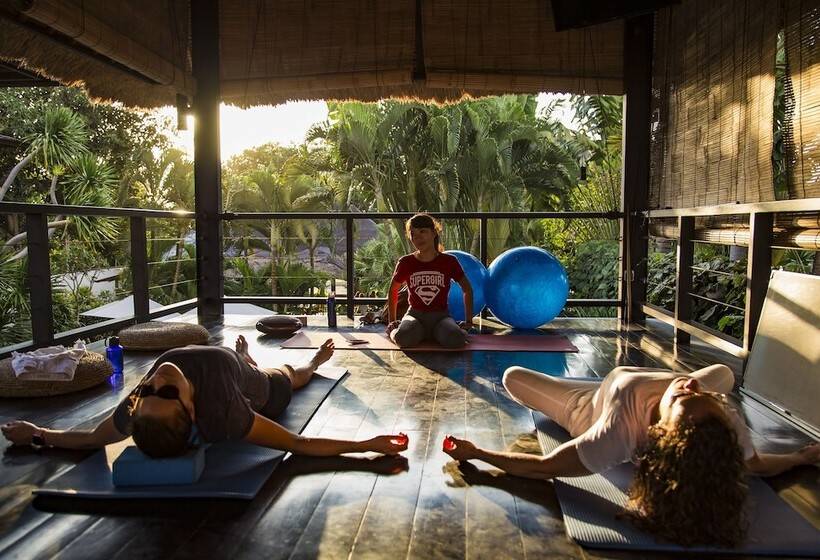 旅馆 Wave House   Surf Camp