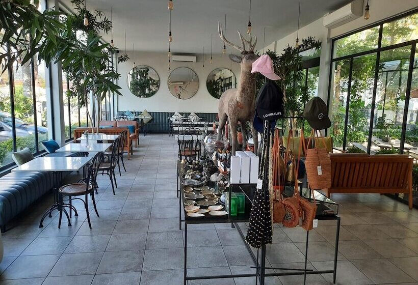 민박 Lovina Life Room & Cafe