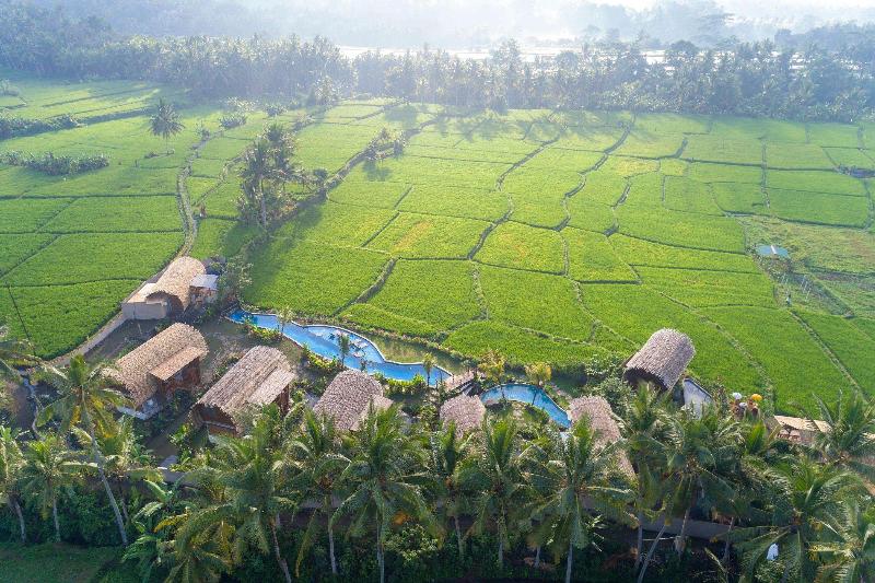 Bed and Breakfast Beehouse Dijiwa Ubud