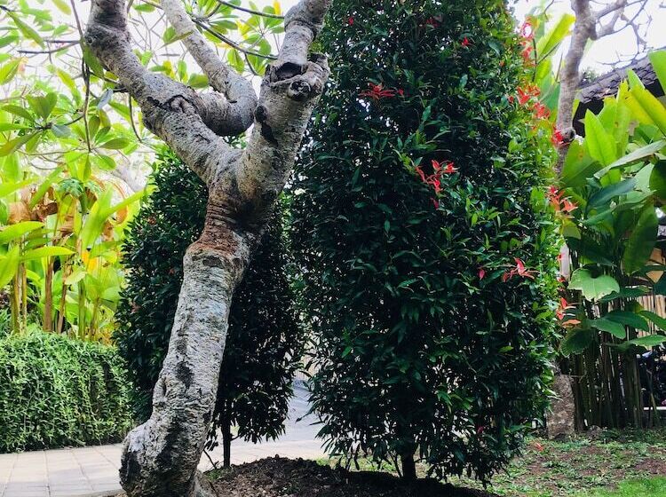 민박 El Homestay Bali