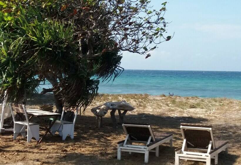 住宿加早餐  Wera Beach Resort