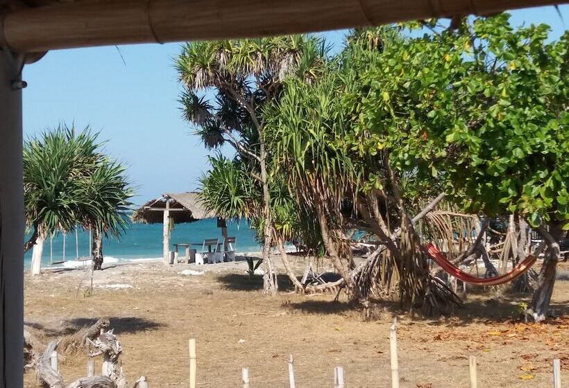 住宿加早餐  Wera Beach Resort