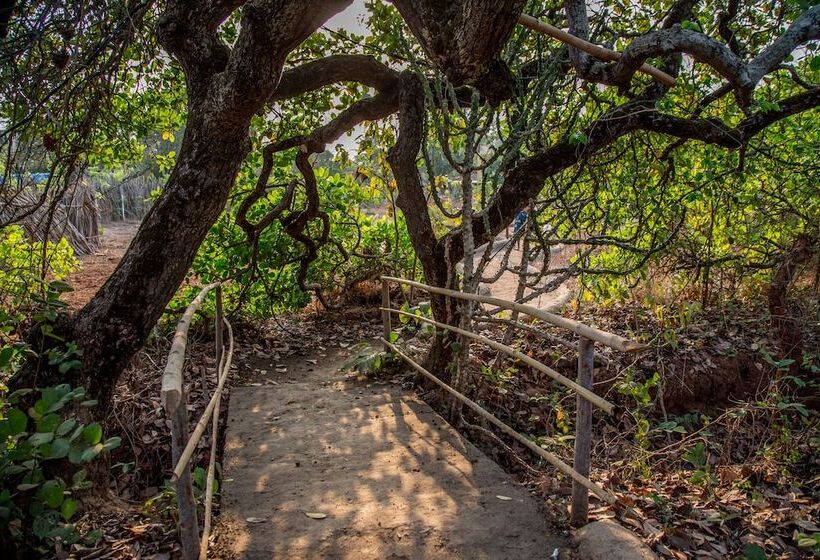 Banyan Tree Yoga