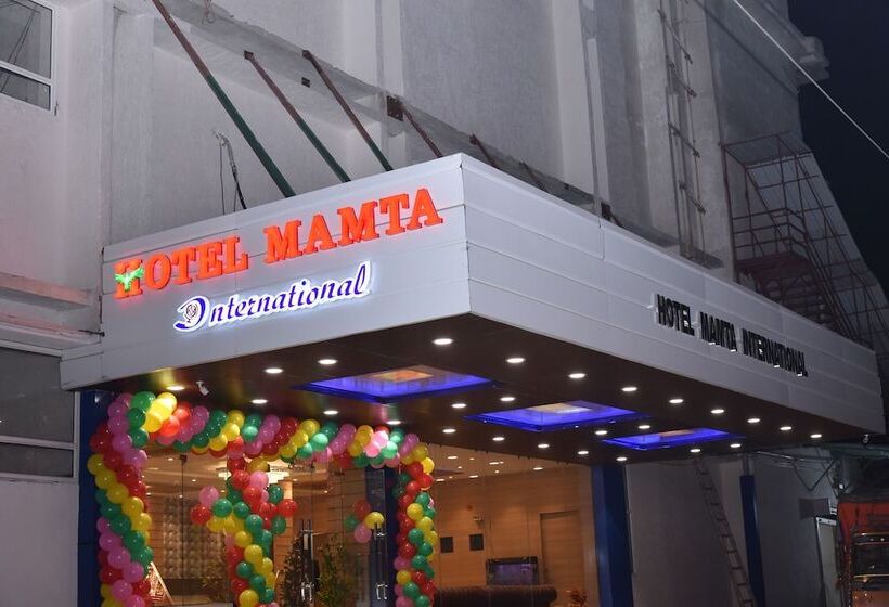 호텔 Mamta International
