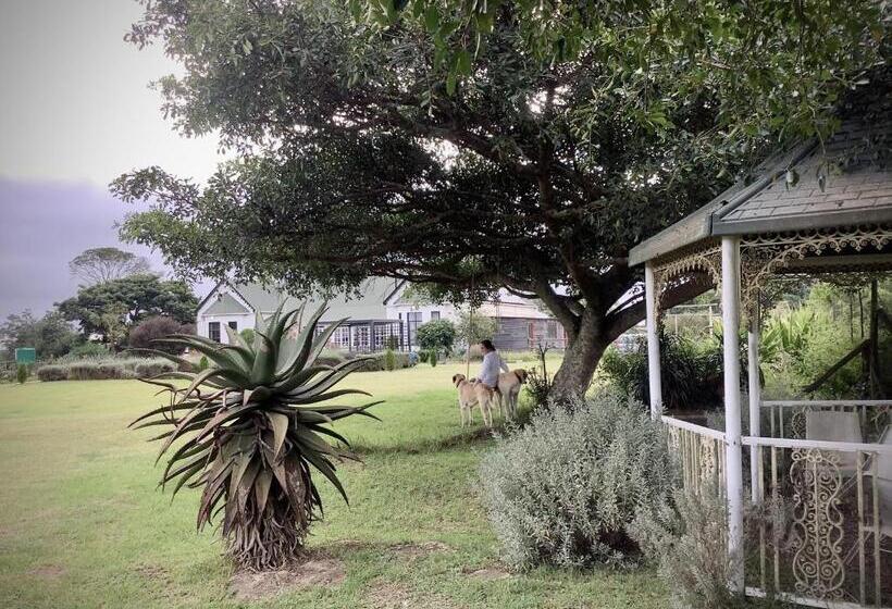 פנסיון Kingston Farm